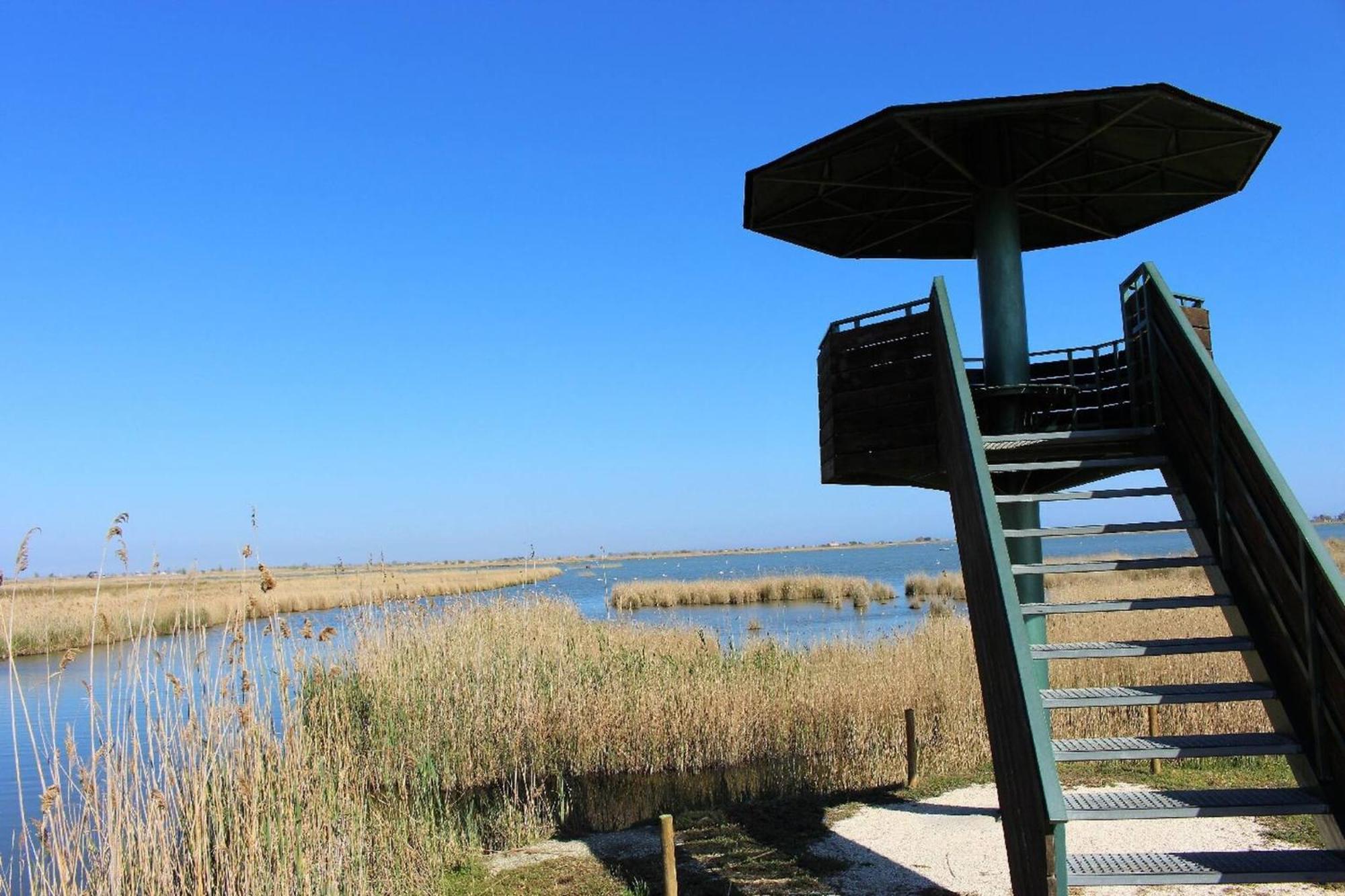 Eusebio - Casa En Riumar Para 4 Personas Y En Primera Linia De Mar - Deltavacaciones Екстер'єр фото